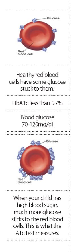 Hemoglobin A1C 